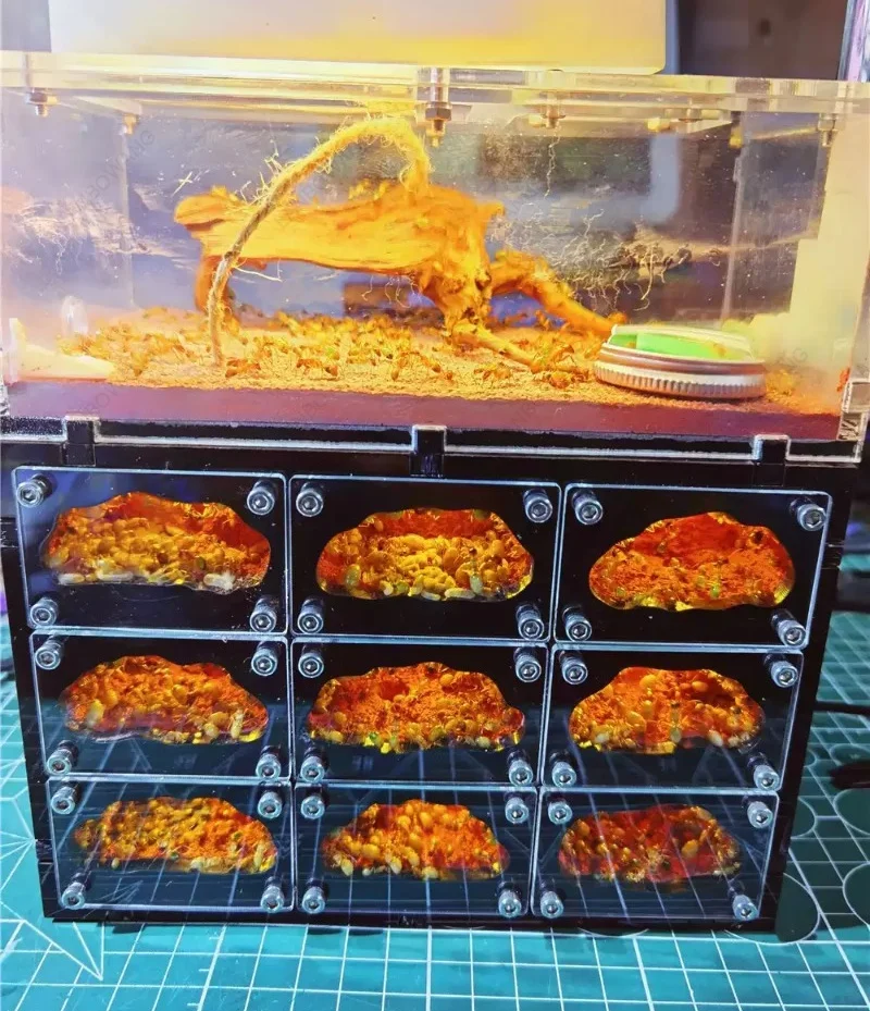 Ecological Ant Farm With Independent Light Control Concrete Ant Nest Living House Insect Workshop Insect Breeding Habitat