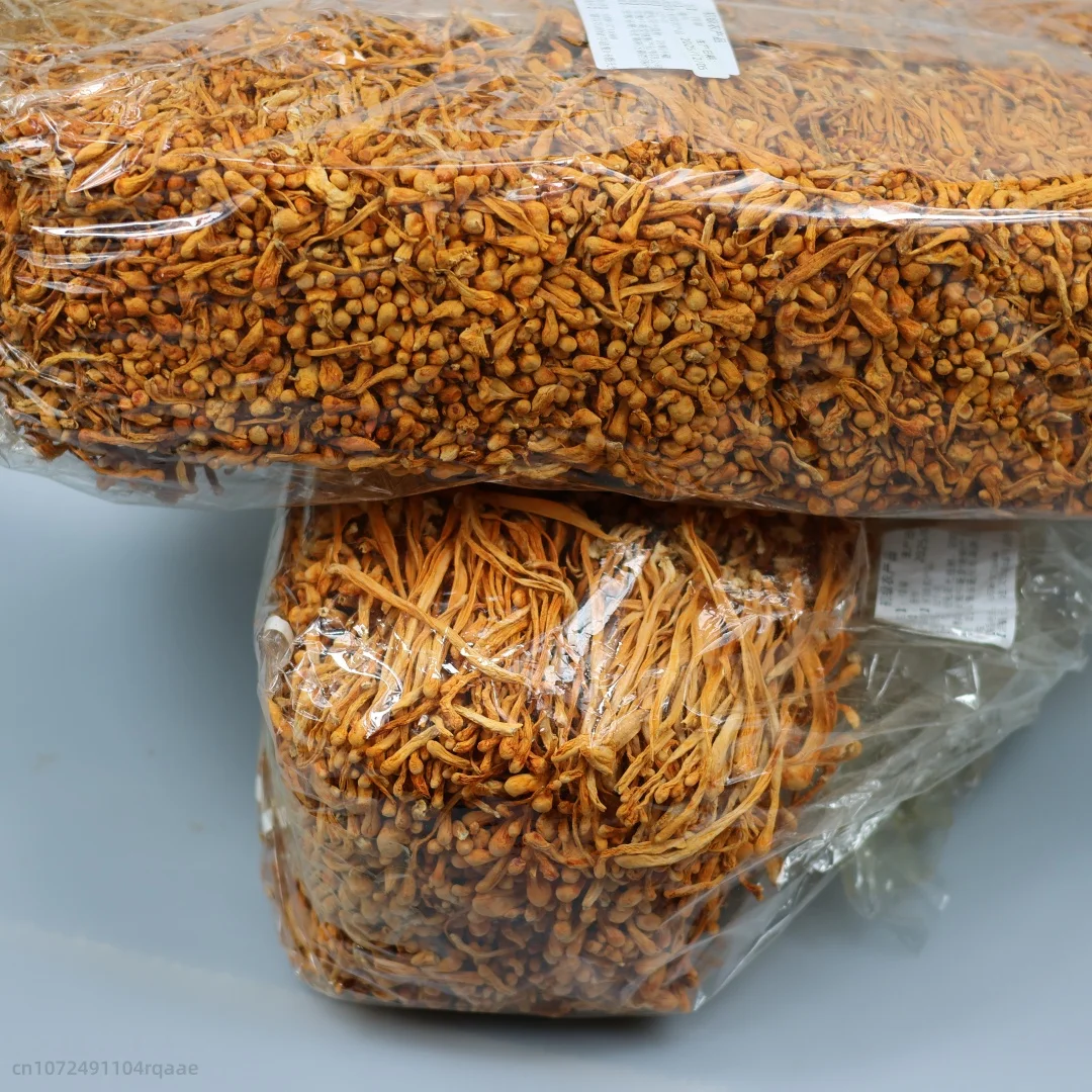 Fleur de Cordyceps séchée natu - Candle Making Los Angeles avis et prix