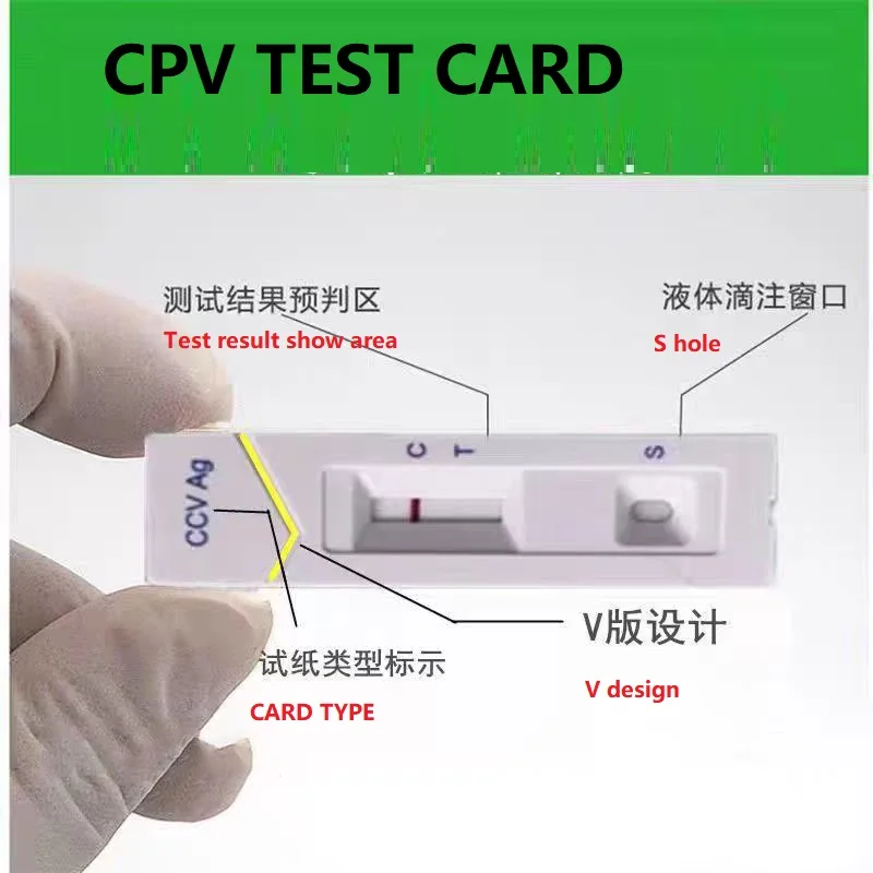 Dog Parvovirus Detection CPV Parvovirus Test Card 20 copies