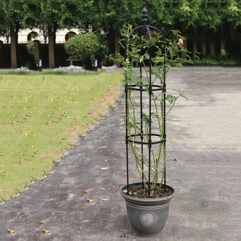Climbing Rose Trellis Metal Support For Outdoor Indoor Flower Plants Tomato Plant Trellis For Climbing Support Rose Vegetable