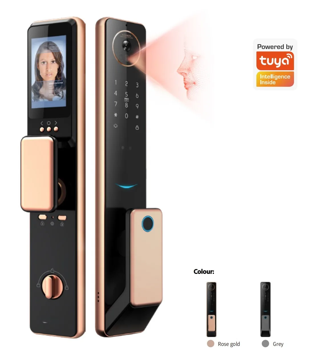 

S-61 Anti Theft Tuya Wifi Blue tooth 3D Face Recognition Smart Door Lock With Camera and Fingerprint For Entry Door