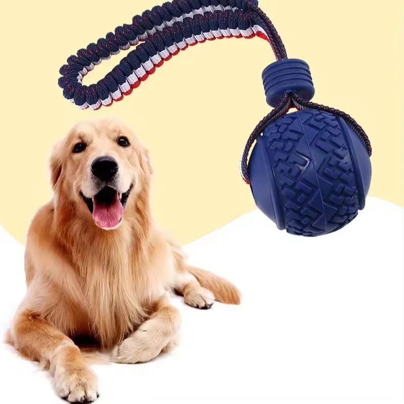 Dog Toy Ball with Elastic Rope Bite-Resistant Teeth Grinding Interactive Training Pet Toy