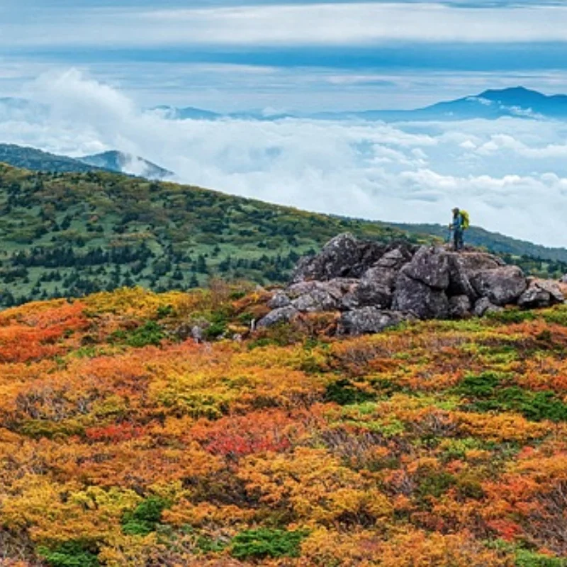 

Для MJX 1/14 14209 14210 металлическая центральная полка приемника защитная крышка ESC радио электронный лоток обновление запасная часть