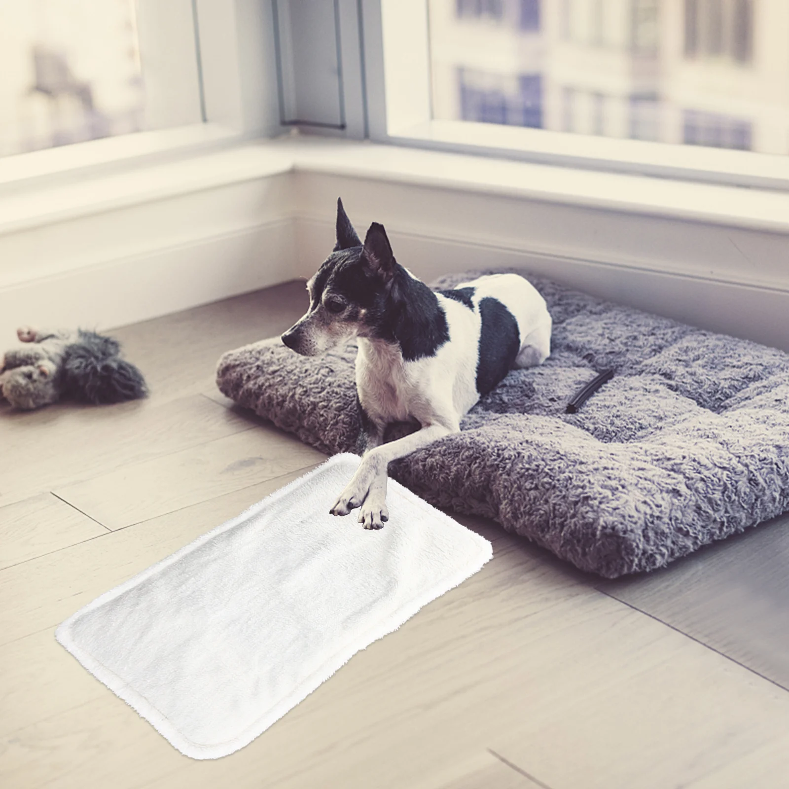 

1 шт. грелка для собак и кошек с USB-питанием, низковольтная, термостатическая, электрическая, теплая подстилка для зимы, товары для животных, грелка для питомцев