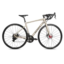 45cm/48cm/50cm Road Bike Aluminum Alloy Frame Disc Brake Crankset 34/50Tx170mm 14 Speed 700C Internal Routing Road Bicycle