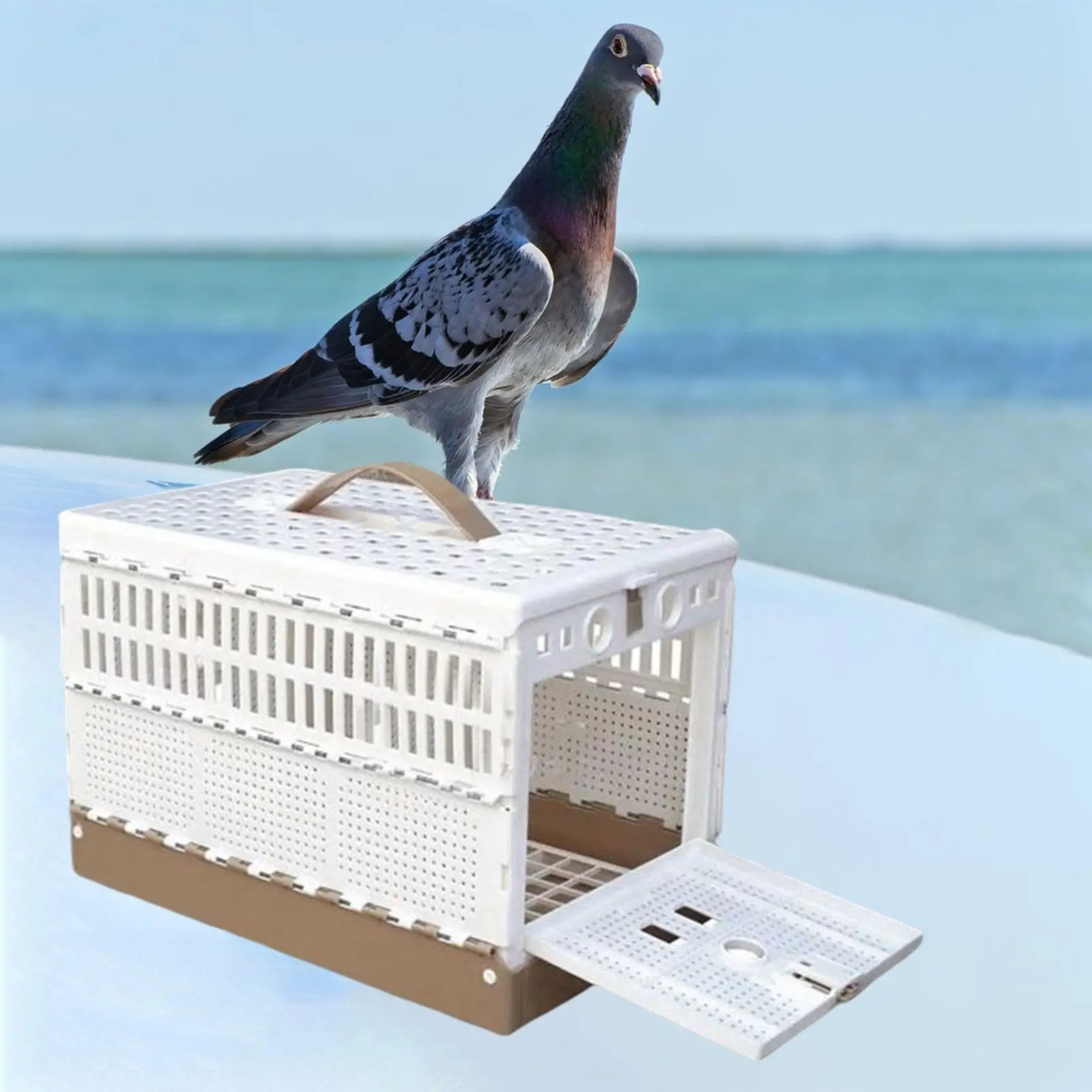 Pigeon Training Cage Portable Folding Travel Carrier for Competition Flying Pet Bird Cage with Carrying Handle