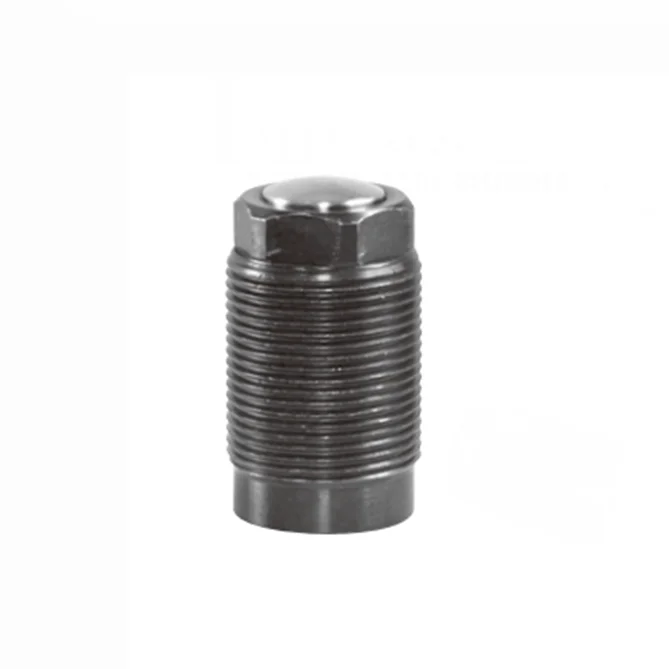 Thread Type Threaded Body Guide Single Acting Hydraulic Cylinder