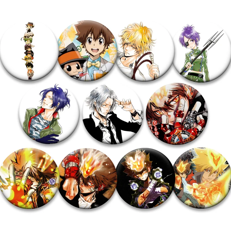 Anime Katekyo Hitman Reborn Brooches Pins Fashion Jewelry Accessories Giotto Cartoon Badge for Clothes Backpack Decoration Gifts