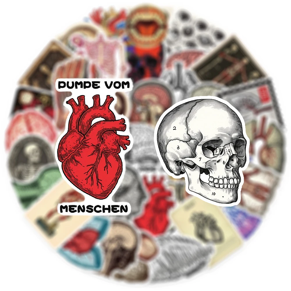 

10/30/50pcs Retro Scientific Anatomy Graffiti Stickers Cartoon Human Physiology Organ Decals for Scrapbooking Notebook Suitcase