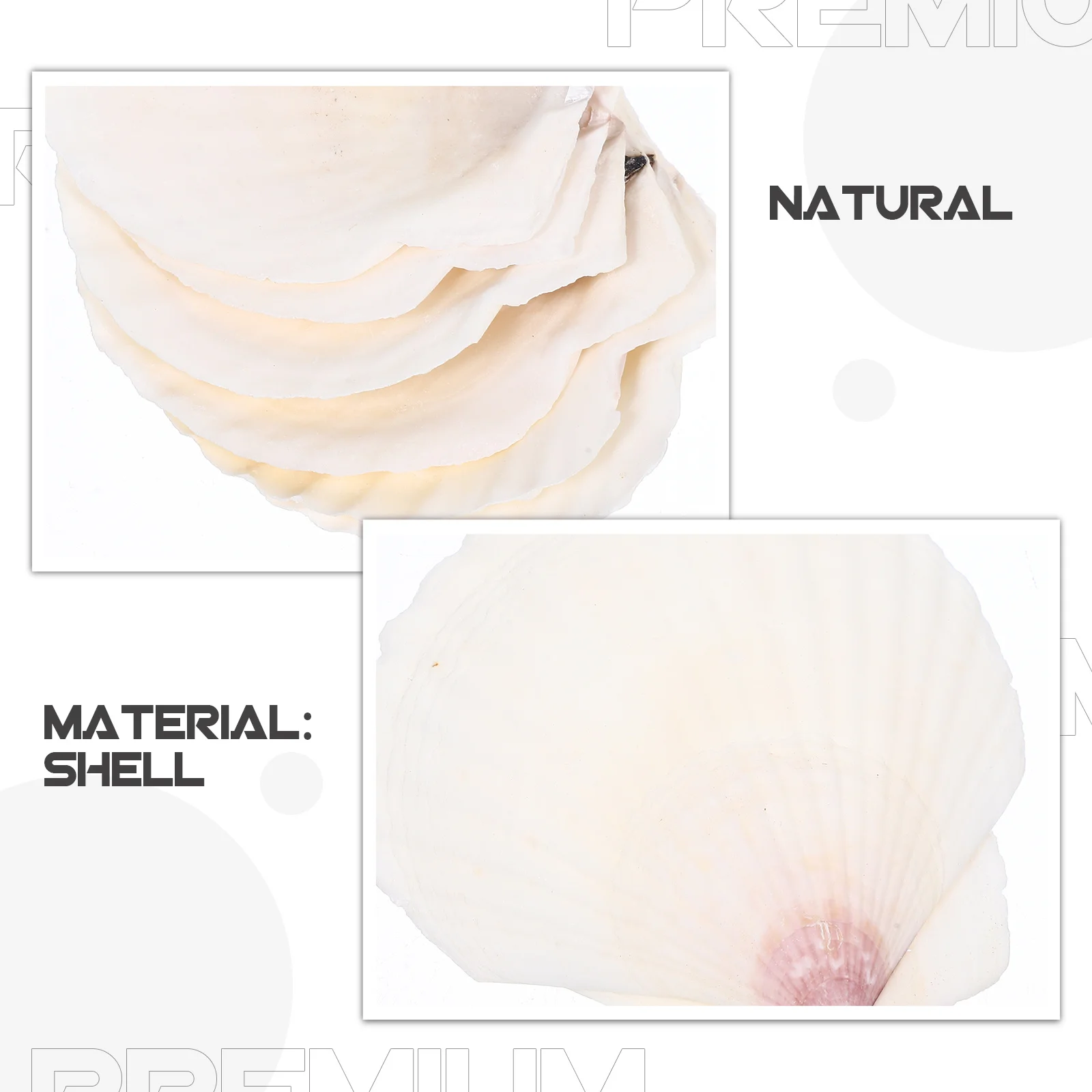 

10pcs Shell Decor Set Natural Seashells For Crafts Diy Handicraft Accessory Beach Seashells Crafts Making Decorations Home Decor