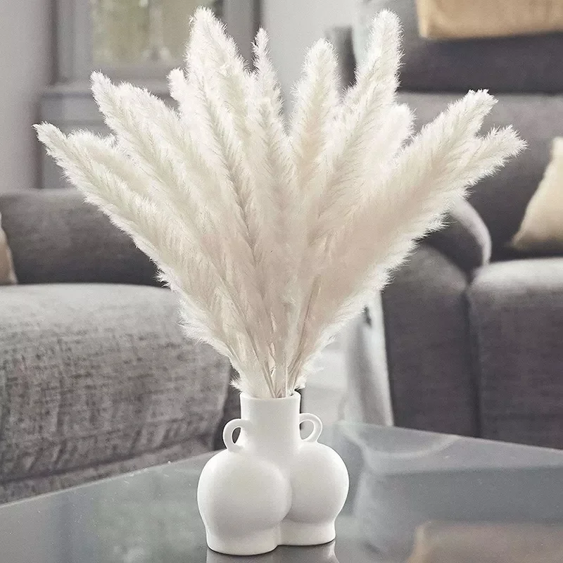 

Pampas Grass Bouquet for Wedding Christmas Decoration Natural Real Dried Flowers Fluffy Phragmites Boho Home Garden Decor