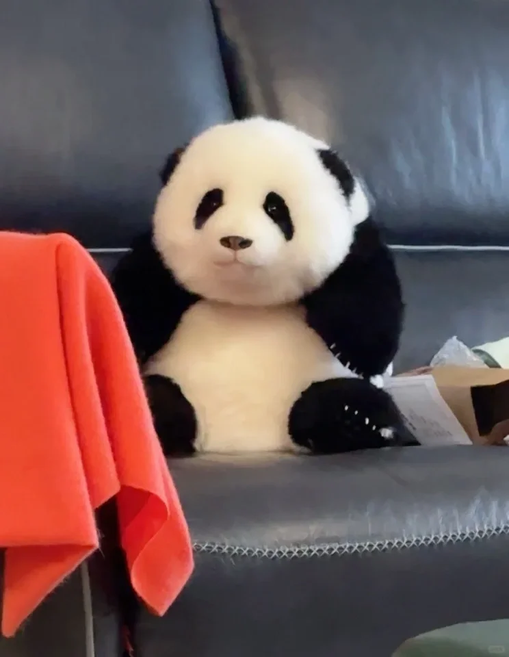 Panda Menglan and Huahua