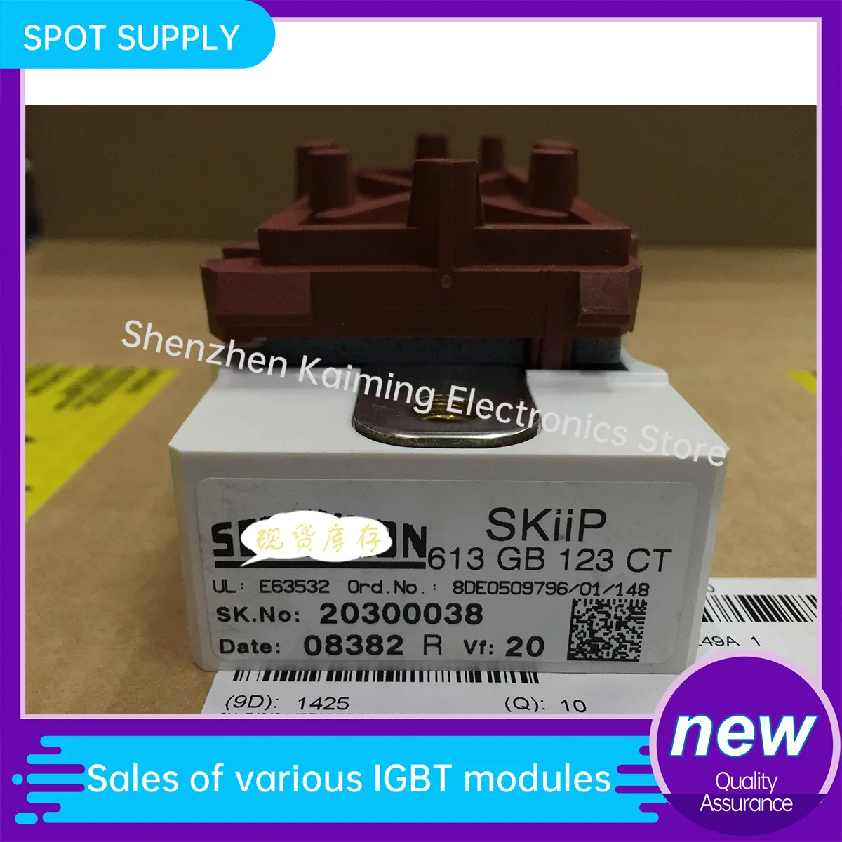 SKIIP613GB123CT SKIIP603GB123CT SKIIP513GB173CT SKIIP603GB173G NEW AND ORIGINLA IGBT