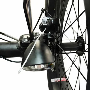 10 Hauptverkaufsdreirad Electric 3 - №8