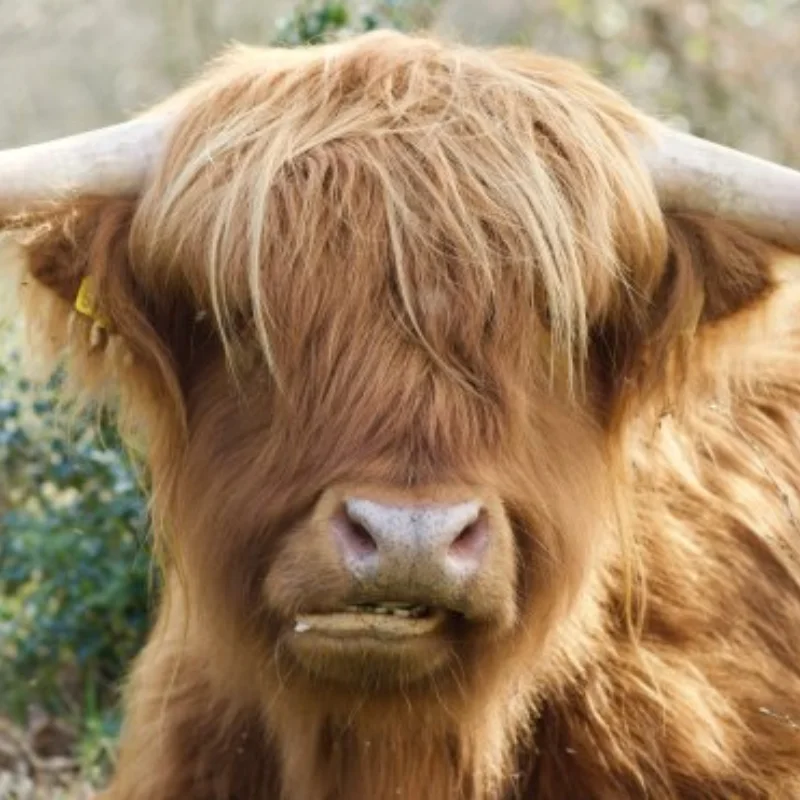 

Alloy Chassis Receiver Plate for WL 244016 LOSI Micro-B 1/24 RC Model Car Buggy Upgrade Parts