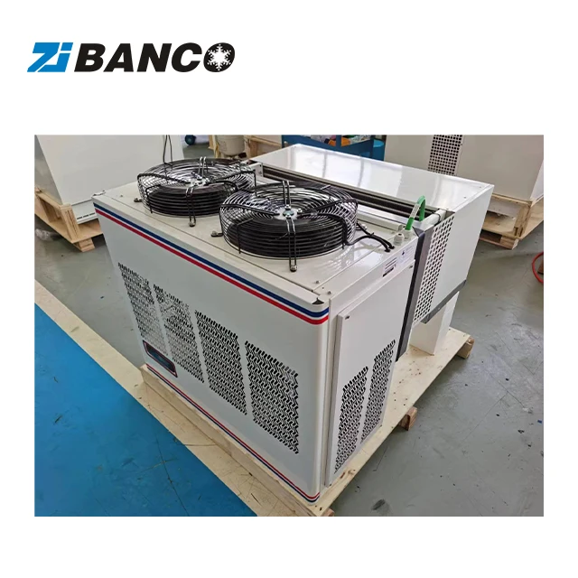 1 PS Kondensationseinheit Kühlung, Mini-Kondensationseinheit Preis