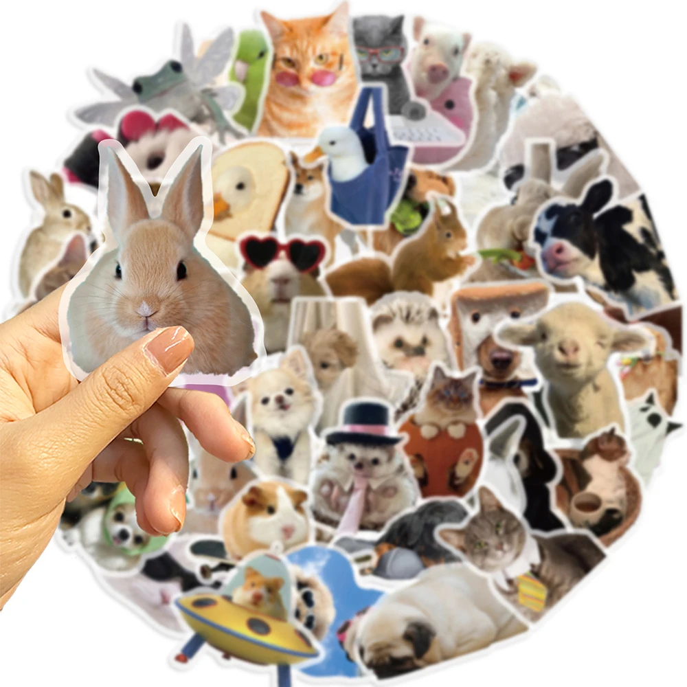 10/30/50pcs Funny Cats Dogs Meme Cartoon Stickers Transparent PET Toys Graffiti DIY Skateboard Notebook Fridge Phone Wall Decals