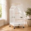 B093 White Standard