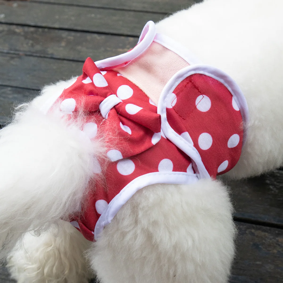 Reusable Female Dogs Diaper Pants Sanitary Female Dog Pants Diapers For Dogs Menstruation Pet Cat Physiological Shorts Girl