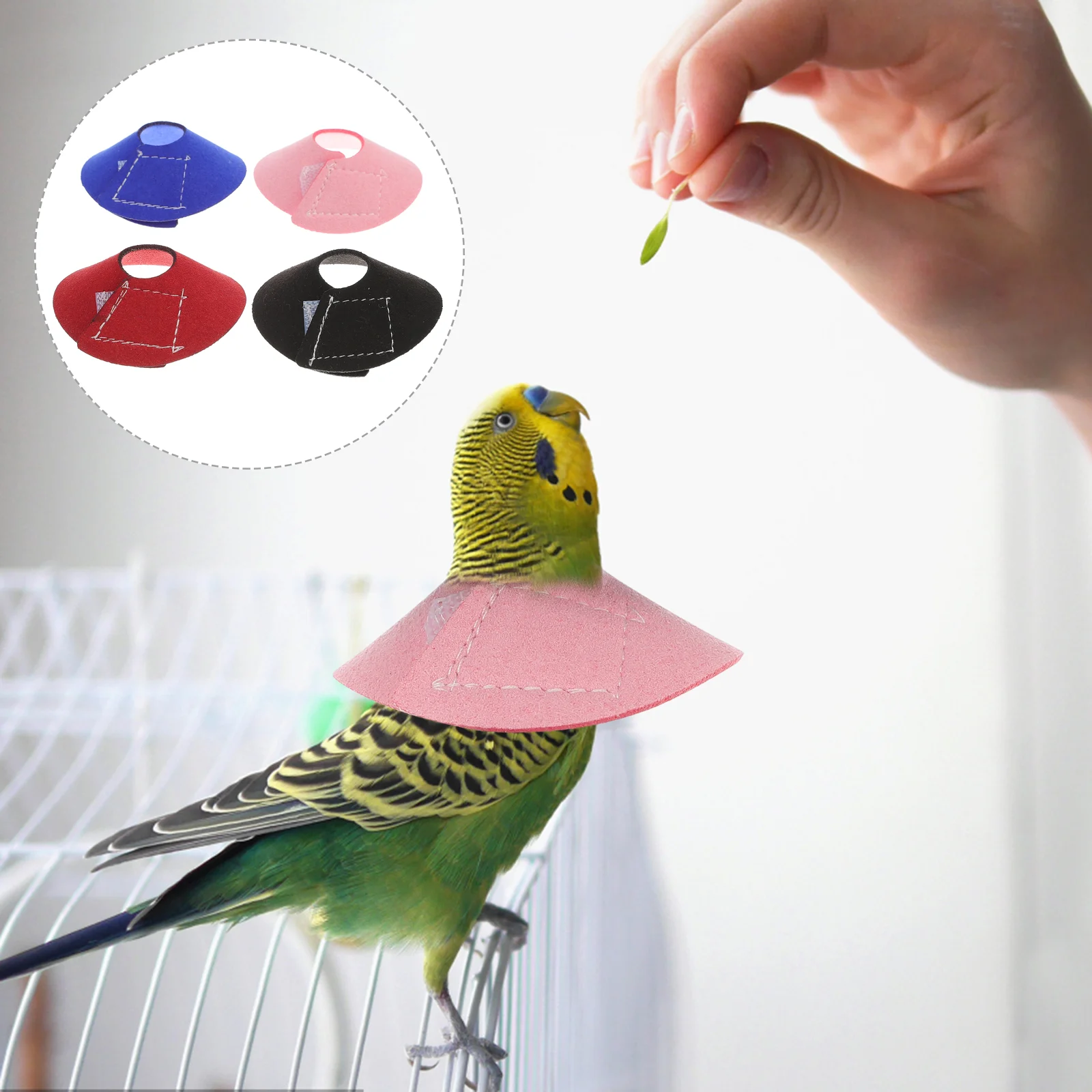 

4 Pcs Birds Neck Collar Parrot Anti Bite Protective Recovery Formula Anti-scratch Pet Baby