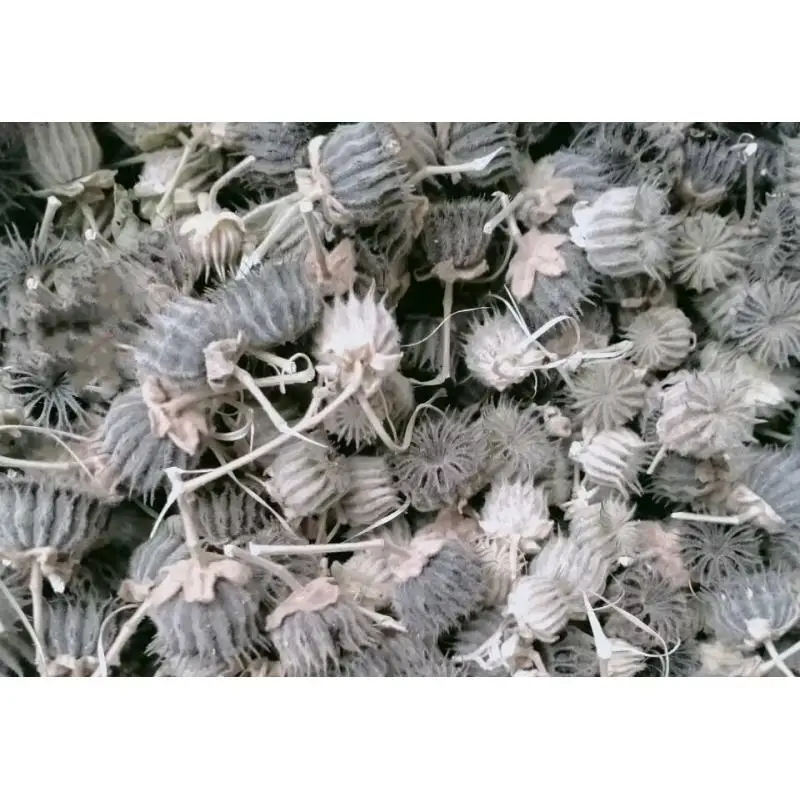 

High Quality Natural Abutilon Indicum Dried Corchorus Olitorius For Incense Sachet Soap Candle Essence Perfume Making