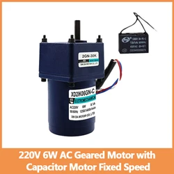 220V 6W AC  Fixed Speed Gear Motor With Capacitance Single Phase Motor Damping Miniature Slow Induction Motor