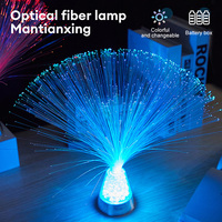 Atmosphere Party Colorful Mini Gift Festival Starry Sky Wedding Led Color Changing Stage Fiber Optic Lamp For Home Decoration