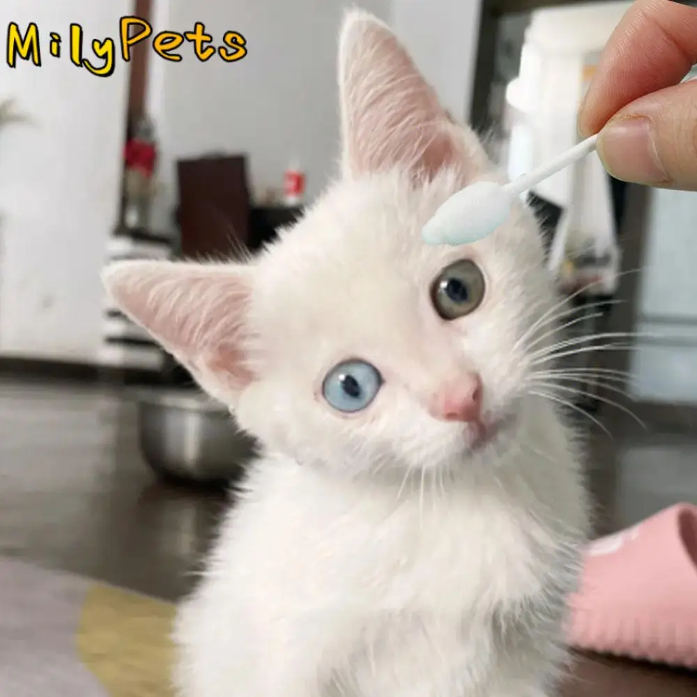 

Pet Cotton Sticks with Storage Box Double-Headed Ears Cleaning Sticks Nose Cleaning Tool Cotton Bud Buds Tip Swabs