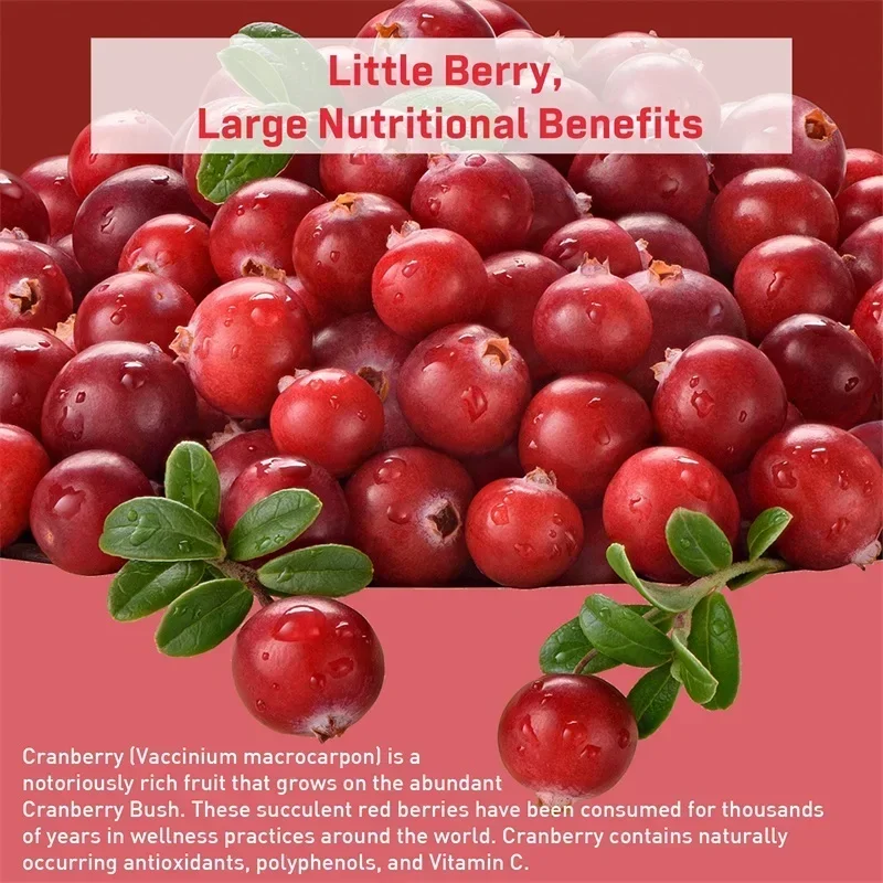 كبسولات التوت البري - تساعد على تنظيف وحماية المسالك البولية وصحة المثانة ومكمل مضاد للأكسدة