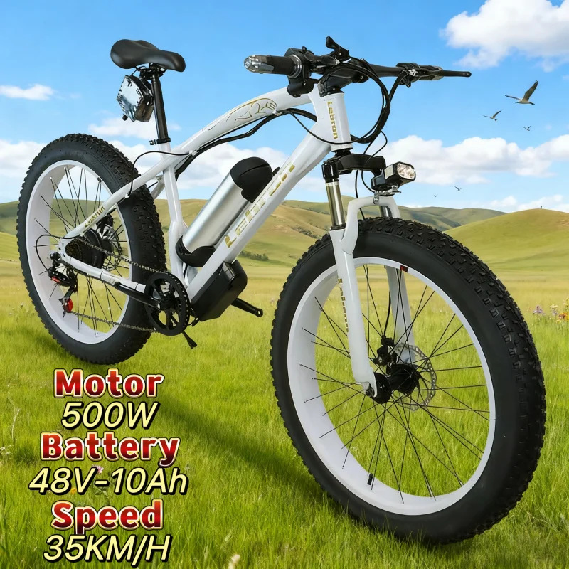 

20-inch electric mountain bike 500W fat tire E-Bike 48V 10Ah lithium battery adult urban commuting electric bicycle