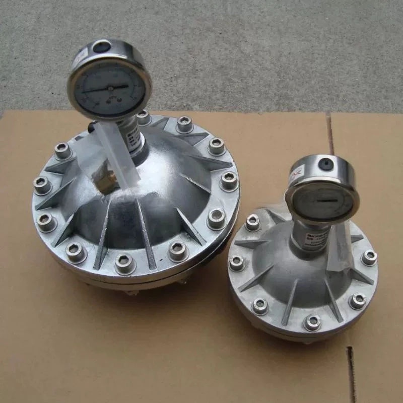 304 Stainless Steel Pulse Damper DN15-25 Diaphragm Type for Dosing Pump
