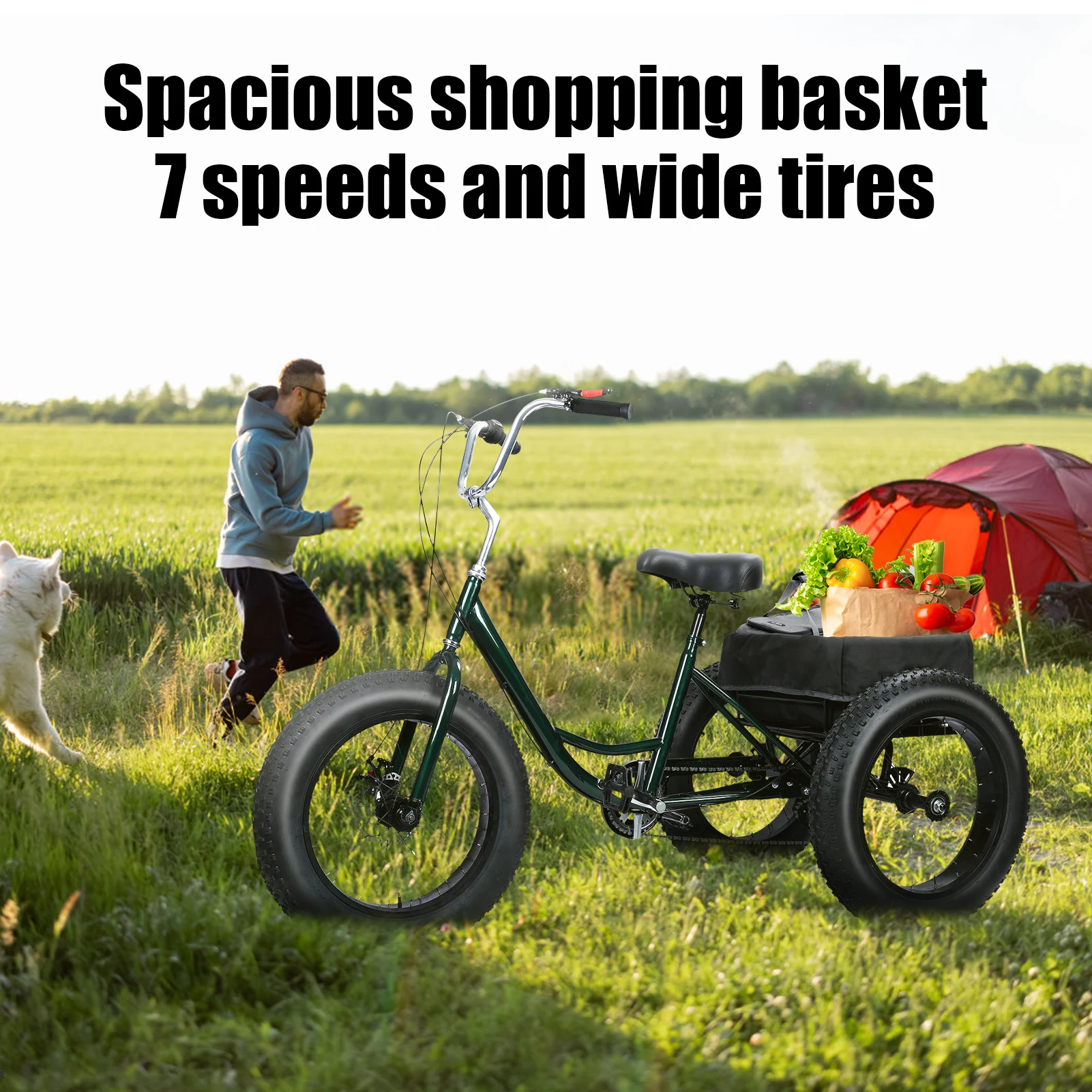 

20 Inch Adult Tricycle, Snow Tires Tricycle, 7 Speed Tricycle with Double Disc Brake, Spacious Shopping Basket, for Seniors
