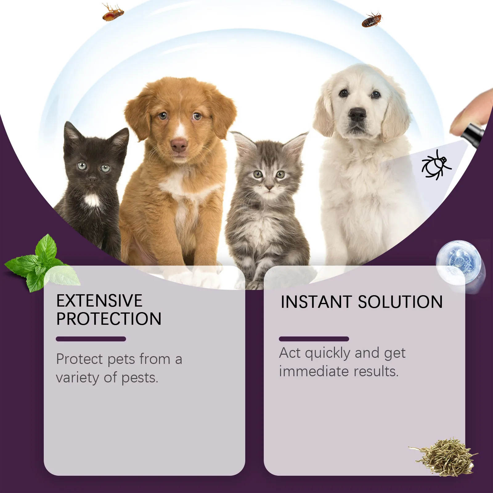 Spray do pielęgnacji skóry zwierząt Plea Lice Insect Killer Spray For Dog Cat Puppy Treatment Soothe Swędzenie Usuń roztocza Eliminator 100ml.