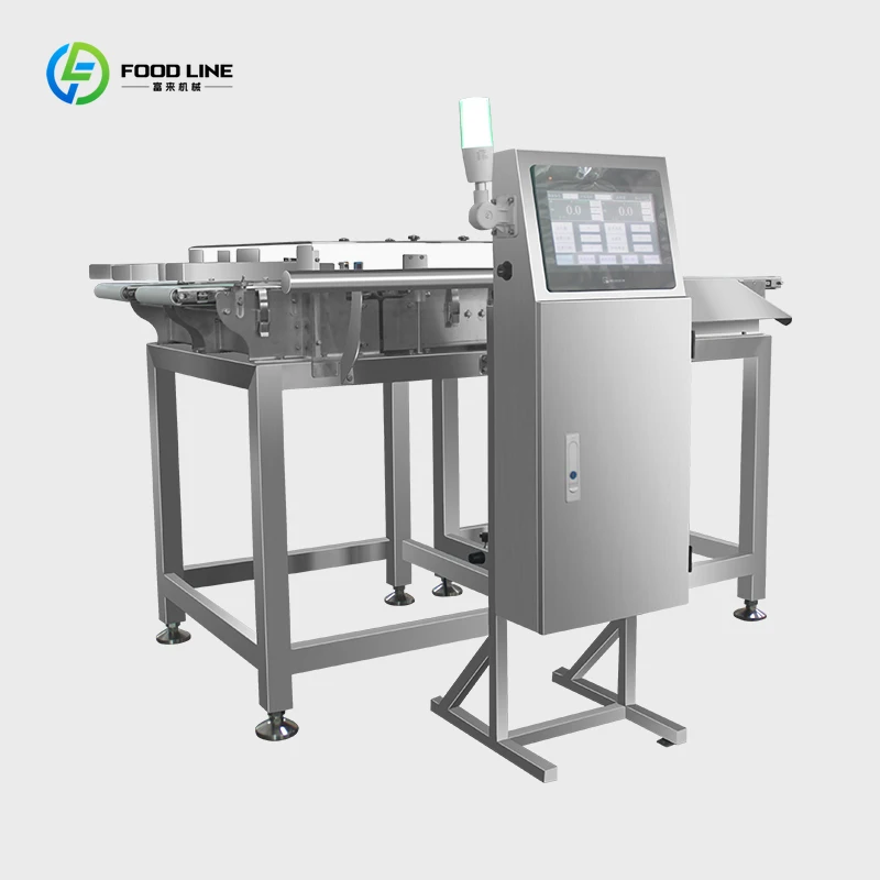 Custom Two Conveyor Belt Scale Weight Control Check Weigher Machine for Food Industry High Precision