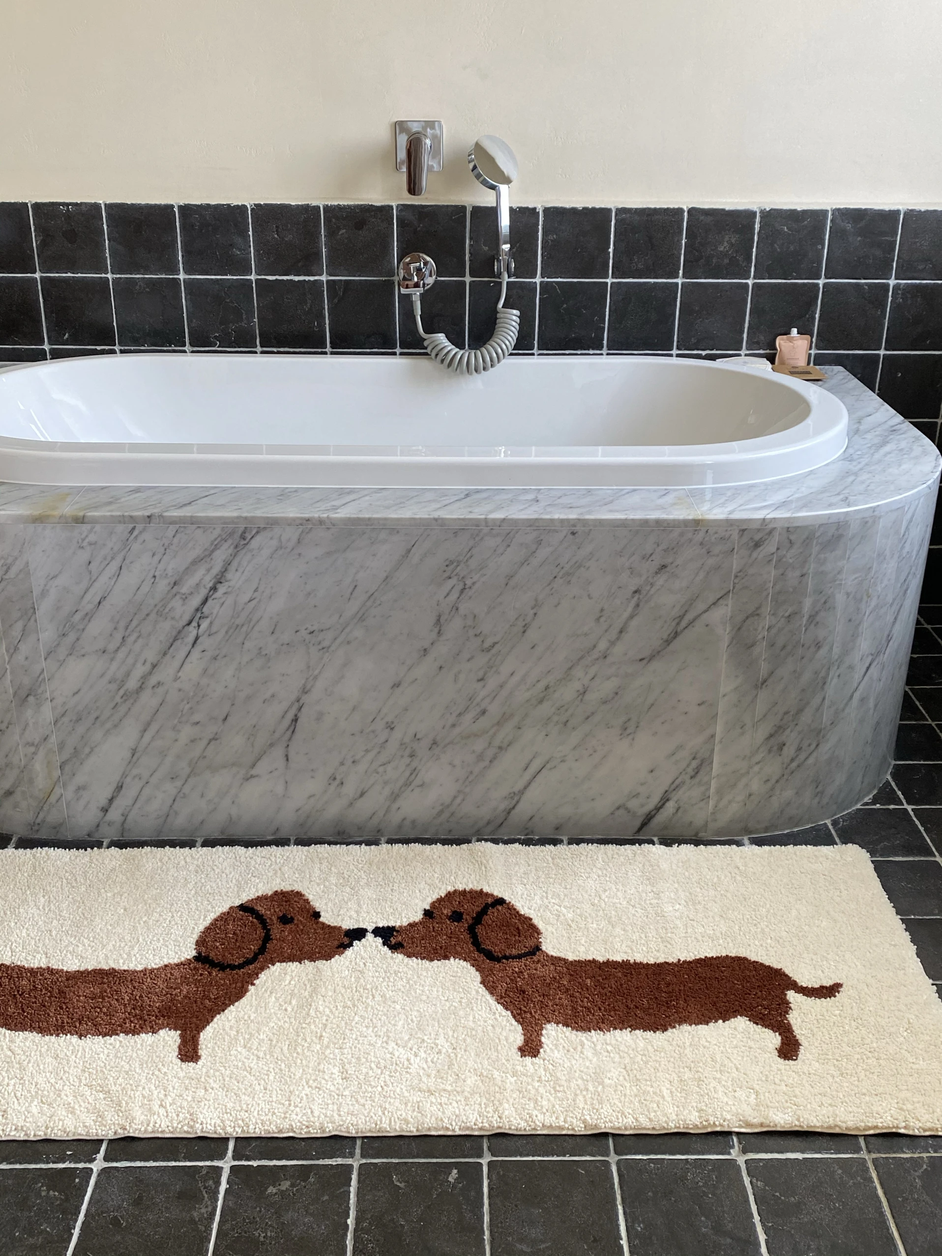 VIKAMA Cute Pet Dachshund Dog Bathing Mat White Base With Two Dogs Looking At Each Other Pattern - Washable Home Decoration