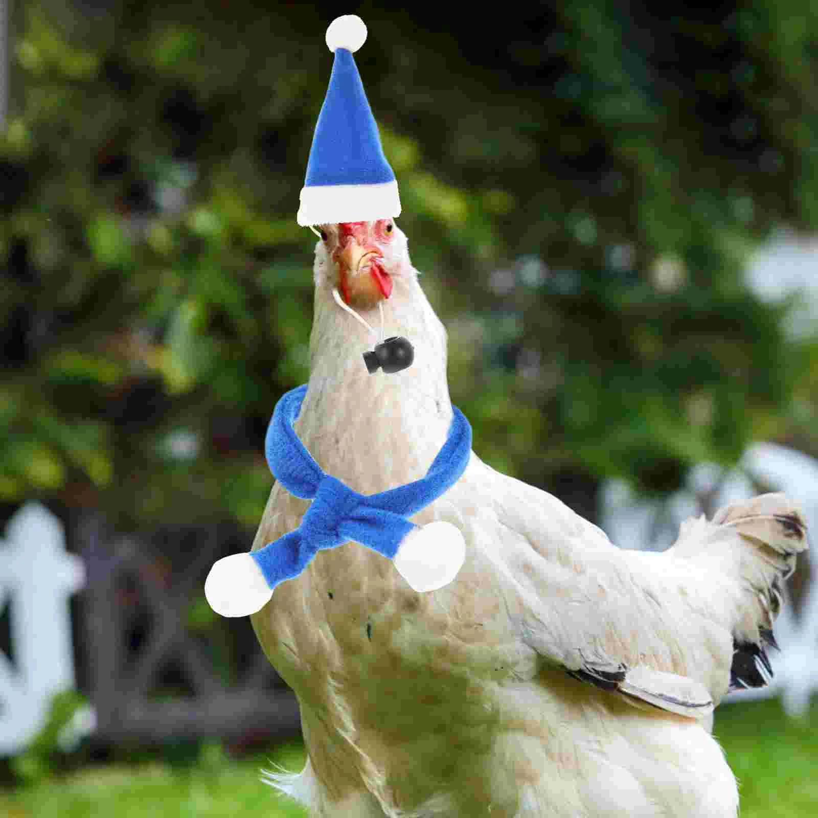 6-delige huisdier kerstmuts hond decor kerst en sjaal feestornament aanbod kat rode kerstversieringen