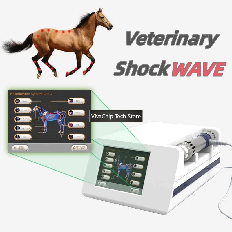 VivaCTPortable Veterinary Eswt For Horse Extracorporal Equine Shockwave Therapy Pain Rehabilitation Professional Racecourse Use