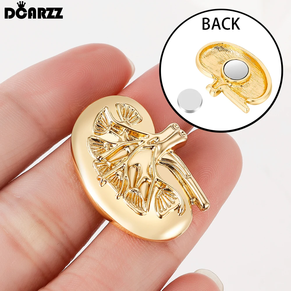 DCARZZ New Magnetic Kidney Brooch Medical Anatomy Creative Magnet Pin Badge Jewelry for Doctor Nurse Gifts