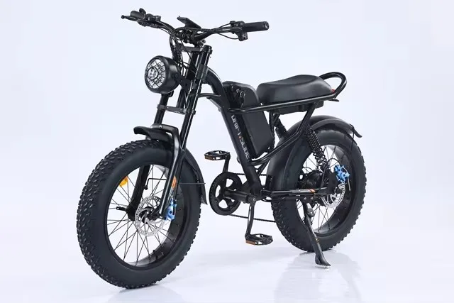 NEW Electric Bike for Adults 2000W 48V 45Ah , 35 MPH Dual Motor Dual Battery Ebike, 20 Fat Tire Full Suspension, Up to 173Miles