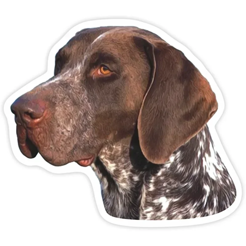 Car Sticker Various Sizes Decal German Shorthaired Pointer Car Sticker Waterproof on Bumper Rear Window Laptop Refrigerator