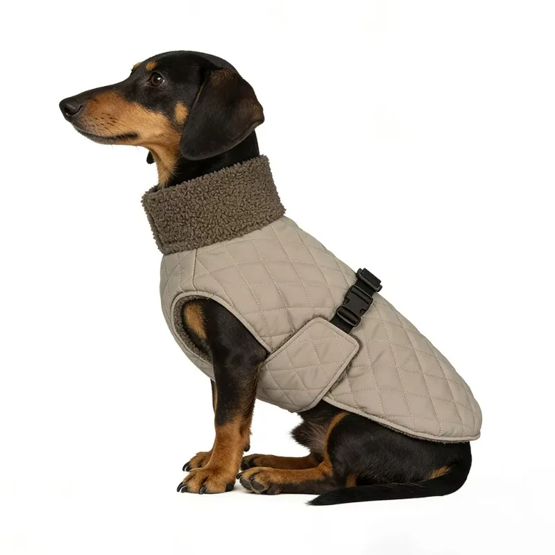 

Wholesale Pet Clothing Custom Spring Summer Four-legged Dog Jacket Breathable Cute Dachshund Coat Hamburg Teckel