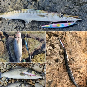 TSURINOYA-STINGER 140S Sistemi, Ağırlığı Tungsten karbür, uzun Döküm Batan Minnow, Üst, Yem, Balıkçılık, 140mm, 26g, DW92 Tuzlu Su Sert Yemler 6 Büyük satış, eldiven, ls2, pas - №5