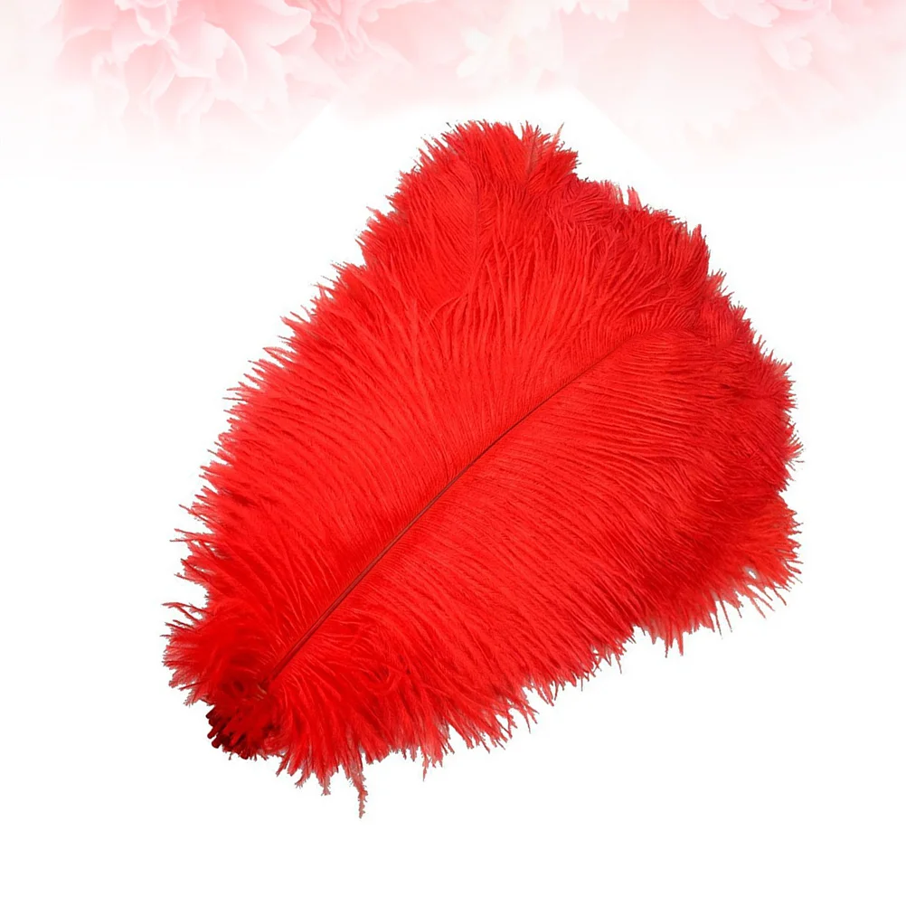 

10 Pcs Mask Ostrich Hair Wedding Decoration Natural Quill Dress with Artificial Feahers Decorations