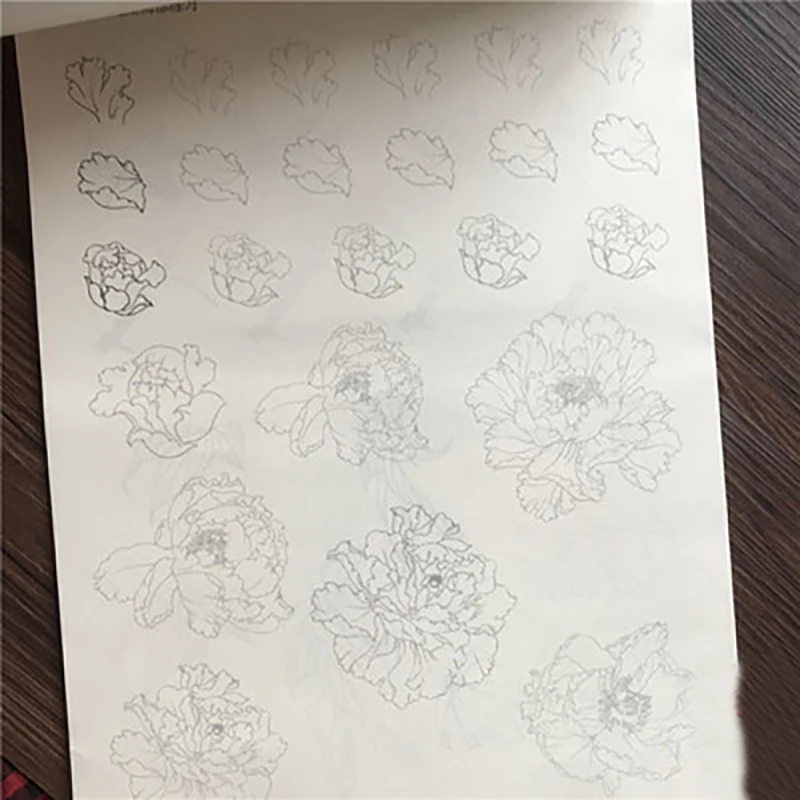 Fine Brushwork Line Drawing Zero Basic Copybook per Landscape Stone Mountain Animal Bird Flower Plants