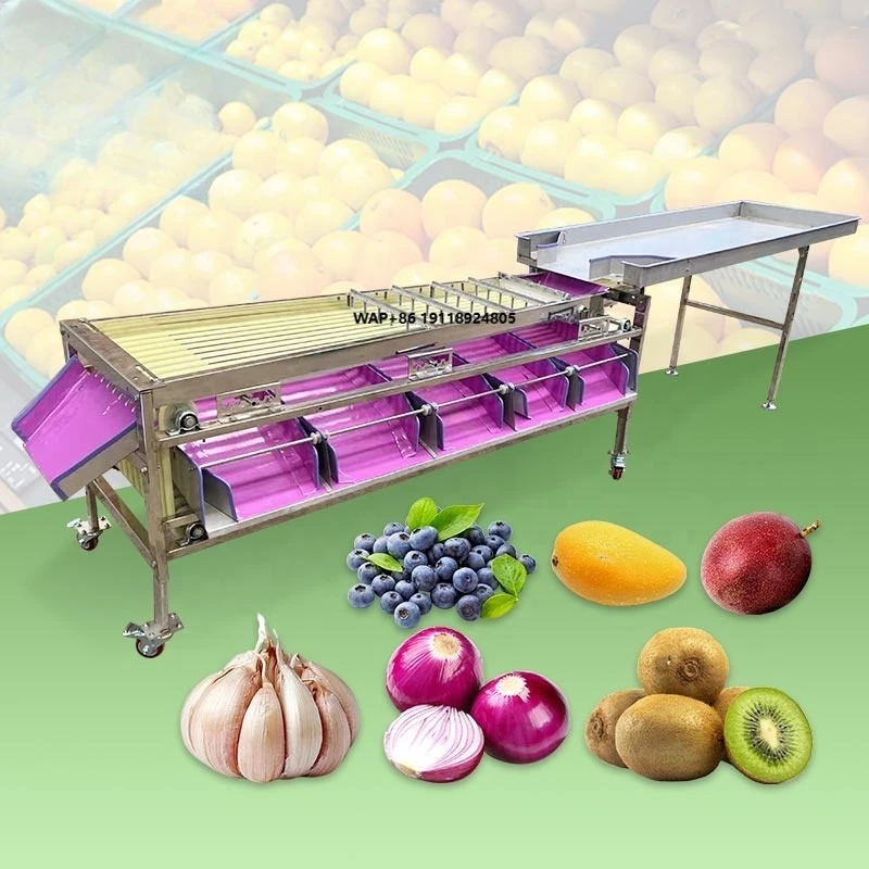Fruit Vegetable Table Sorter Roller Grading Potato Blueberry Onion Grader and Size Sorting Machine for Sale