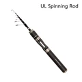 Spinning Rod