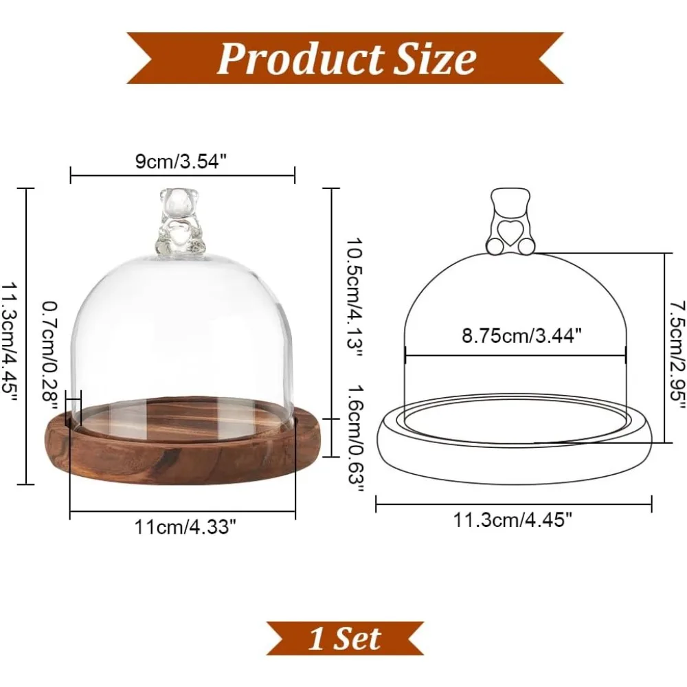 Round Glass Display Dome Cloche, Mini Glass Cloche Dome Clear Bell Jar Cloche Plant Terrarium Decor with Brown Wood Base