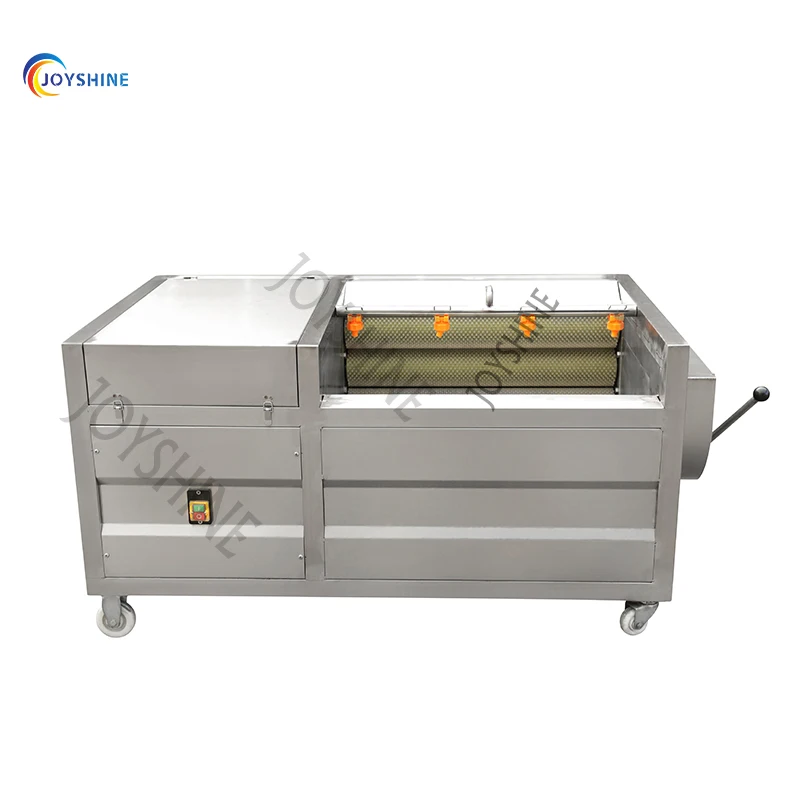Small Scale 300kg/h Industrial Use Carrot Radish Cleaning Machine With Soft Brushes