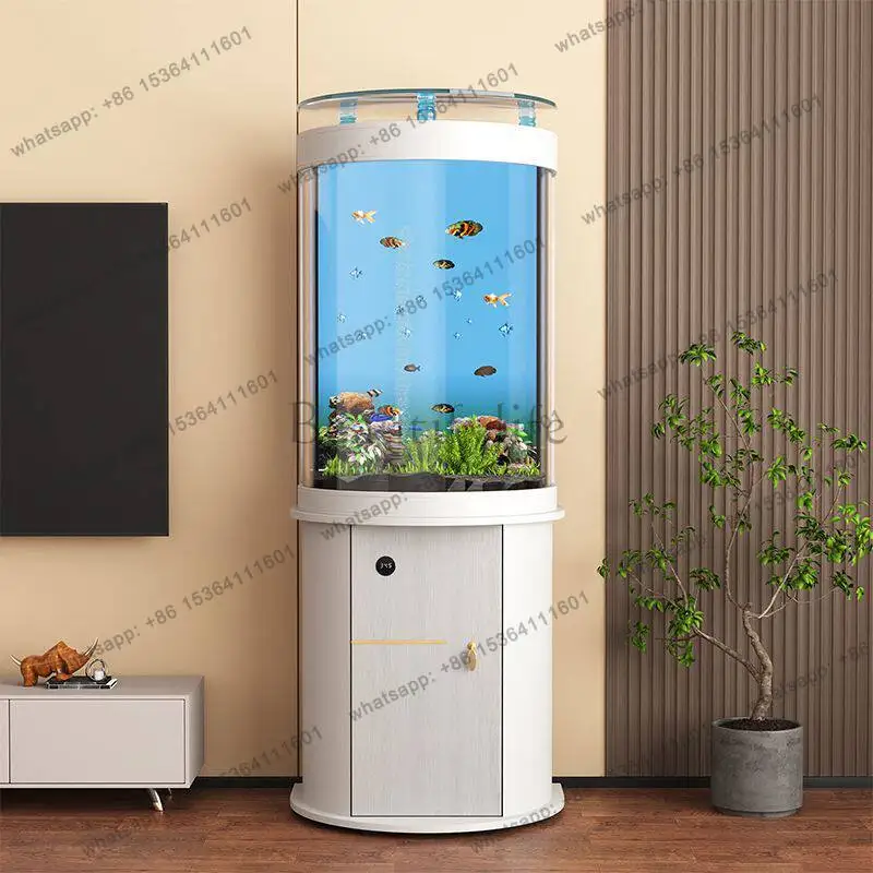Semi-circular goldfish tank, small ecological floor-to-ceiling glass against the wall, lazy bottom filtration, no water tank