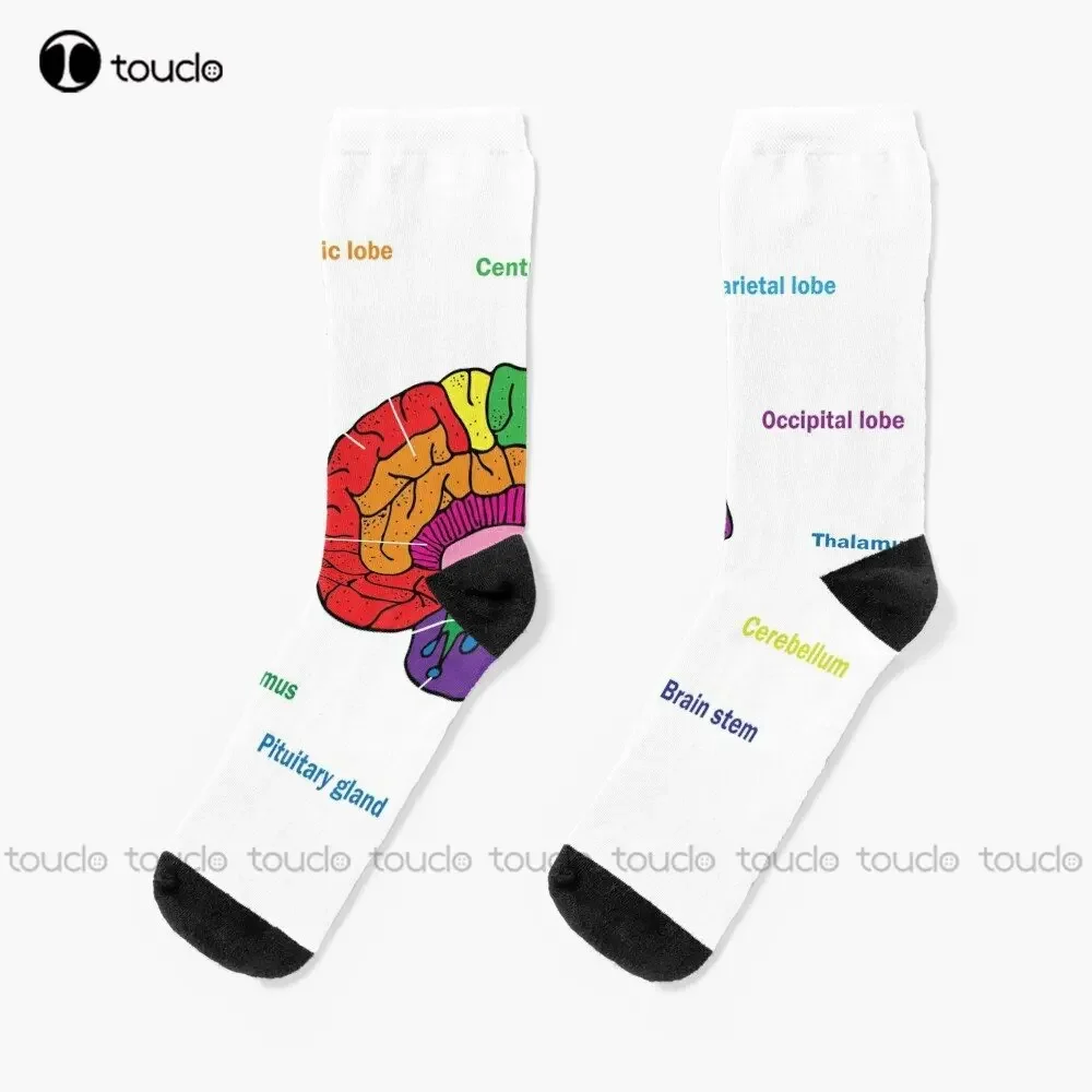 

Anatomy Of The Brain socks